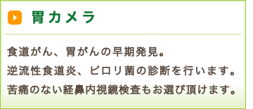 胃カメラ 食道がん、胃がんの早期発見。逆流性食道炎、ピロリ菌の診断を行います。苦痛のない経鼻内視鏡検査もお選び頂けます。