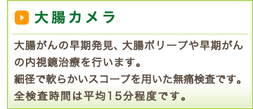 大腸カメラ 大腸がんの早期発見、大腸ポリープや早期がんの内視鏡治療を行います。細径で軟らかいスコープを用いた無痛検査です。全検査時間は平均15分程度です。