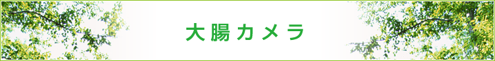 大腸カメラ