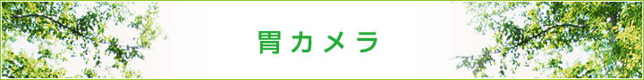 胃カメラ