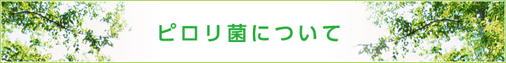 ピロリ菌について